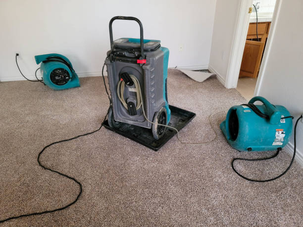 Best Mold removal after water damage  in Conneaut Lakeshore, PA