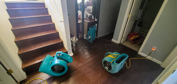 Best Flood damage cleanup  in Conneaut Lakeshore, PA