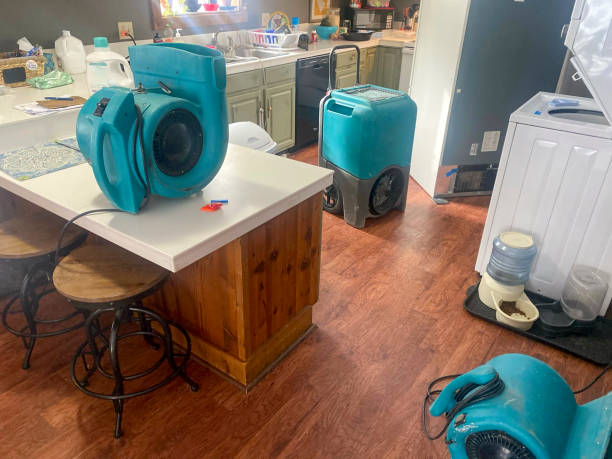 Best Fire Damage Restoration  in Conneaut Lakeshore, PA
