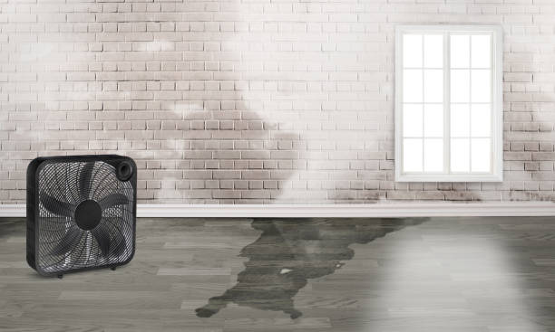 Best 24-hour water damage restoration  in Conneaut Lakeshore, PA